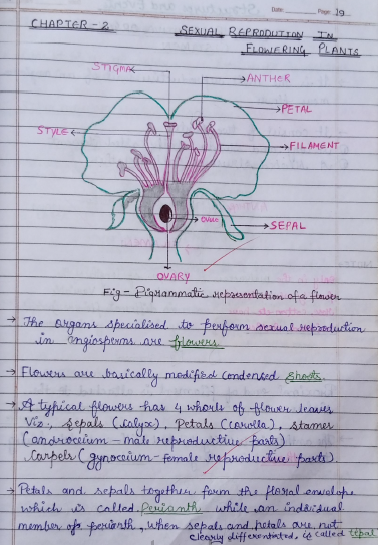 class 12 biology chapter 15 notes pdf download