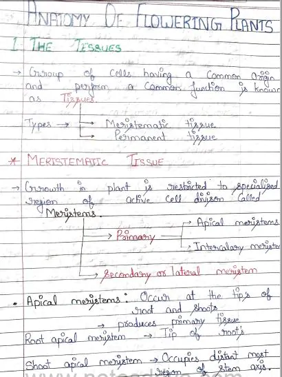 Class 11 Biology all chapters handwritten notes pdf download 2023 - Image 3