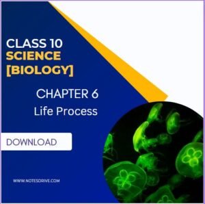 Class 10 Science Biology Chapter 6 Life Process Handwritten Notes Free PDF Download 2023