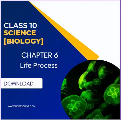 Class 10 Science Biology Chapter 6 Life Process Handwritten Notes Free PDF Download 2023