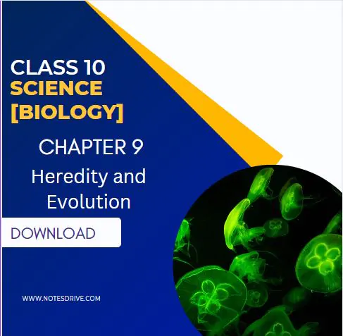 Class 10 Science Biology Chapter 9 Heredity and Evolution Handwritten Notes Free PDF Download 2023