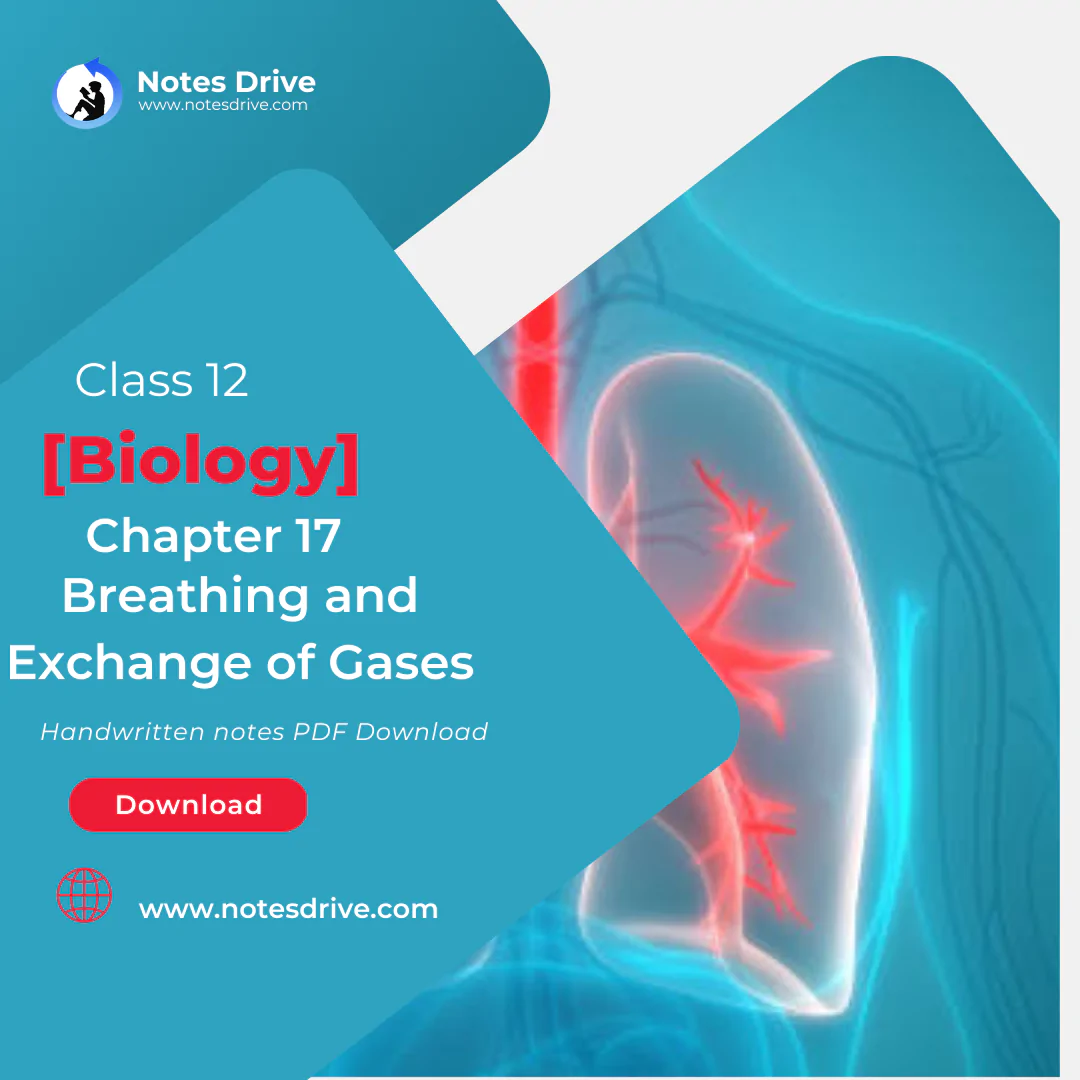 Class 11 Biology Chapter 17 Breathing and Exchange of Gases handwritten notes pdf download 2023