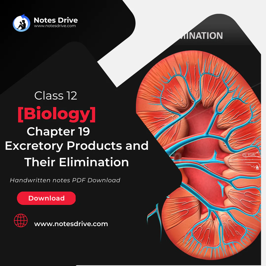 Class 11 Biology Chapter 19 Excretory Products and Their Elimination handwritten notes pdf download 2023