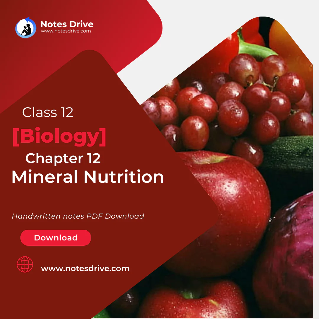 Class 11 Biology Chapter 12 Mineral Nutrition handwritten notes pdf download 2023