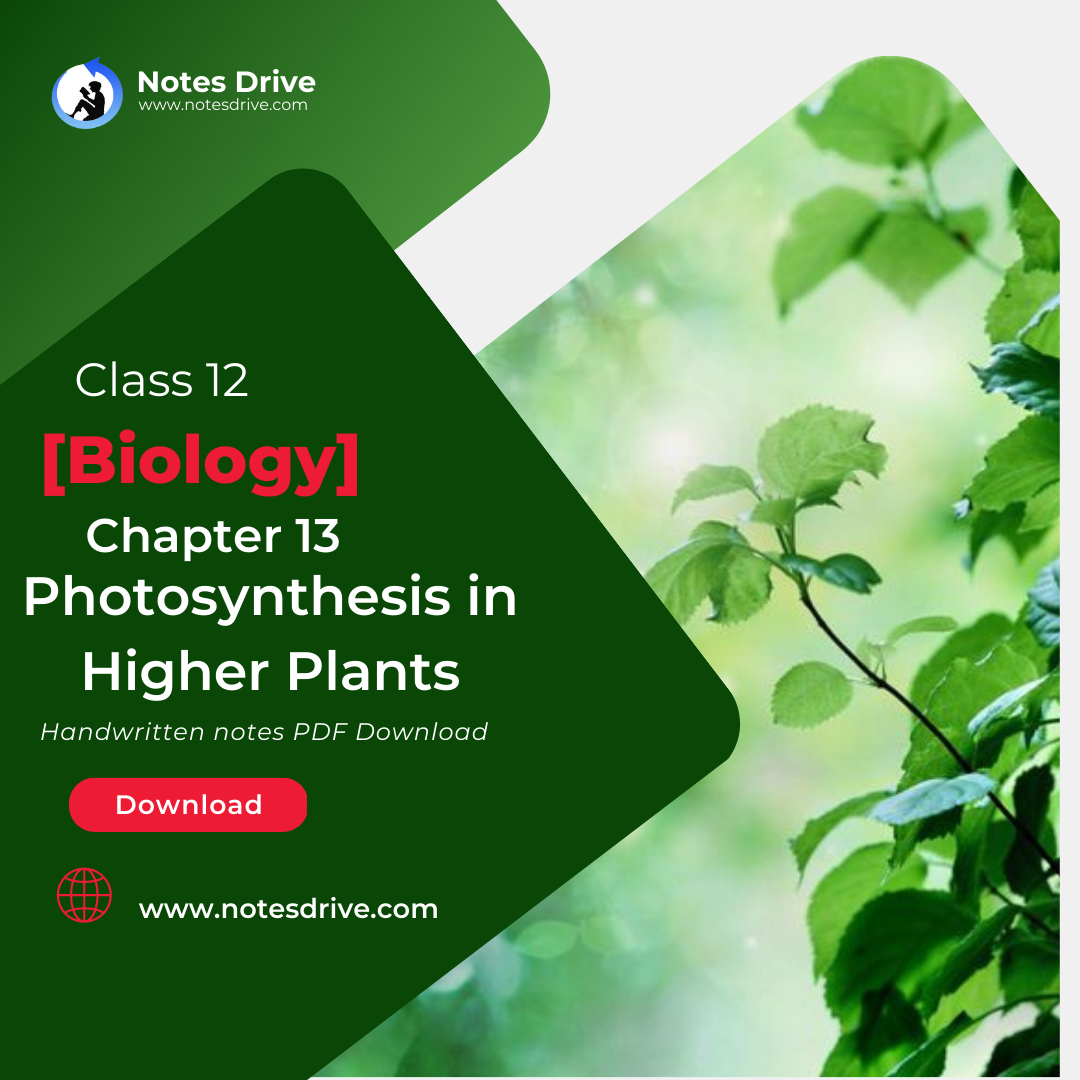 class-11-biology-chapter-13-photosynthesis-in-higher-plants-handwritten