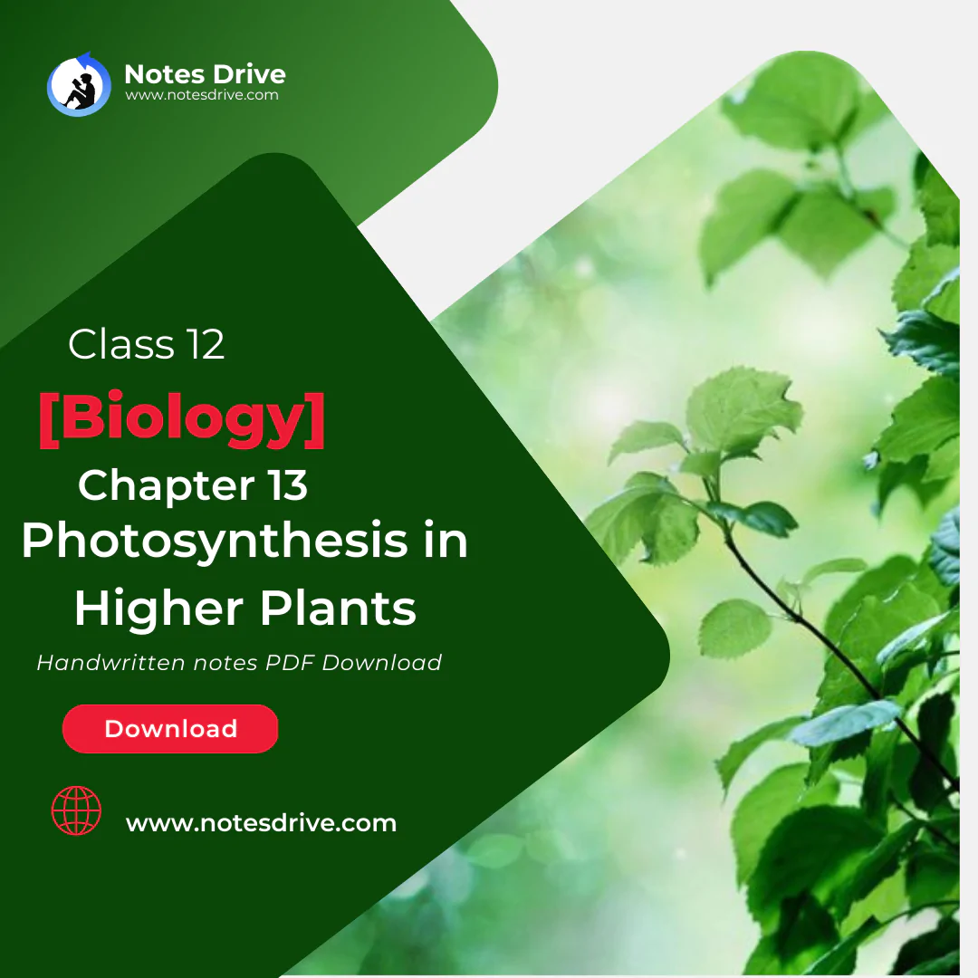 Class 11 Biology Chapter 13 Photosynthesis in Higher Plants handwritten notes pdf download 2023