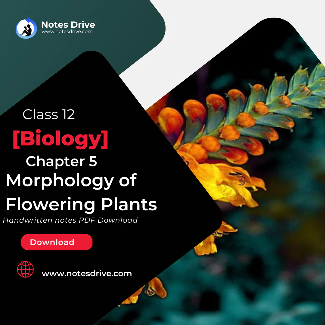 Class 11 Biology Chapter 5 Morphology of Flowering Plants handwritten notes pdf download 2023