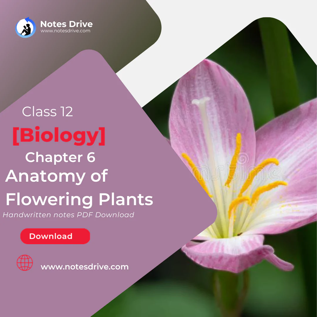 Class 11 Biology Chapter 6 Anatomy of Flowering Plants handwritten notes pdf download 2023