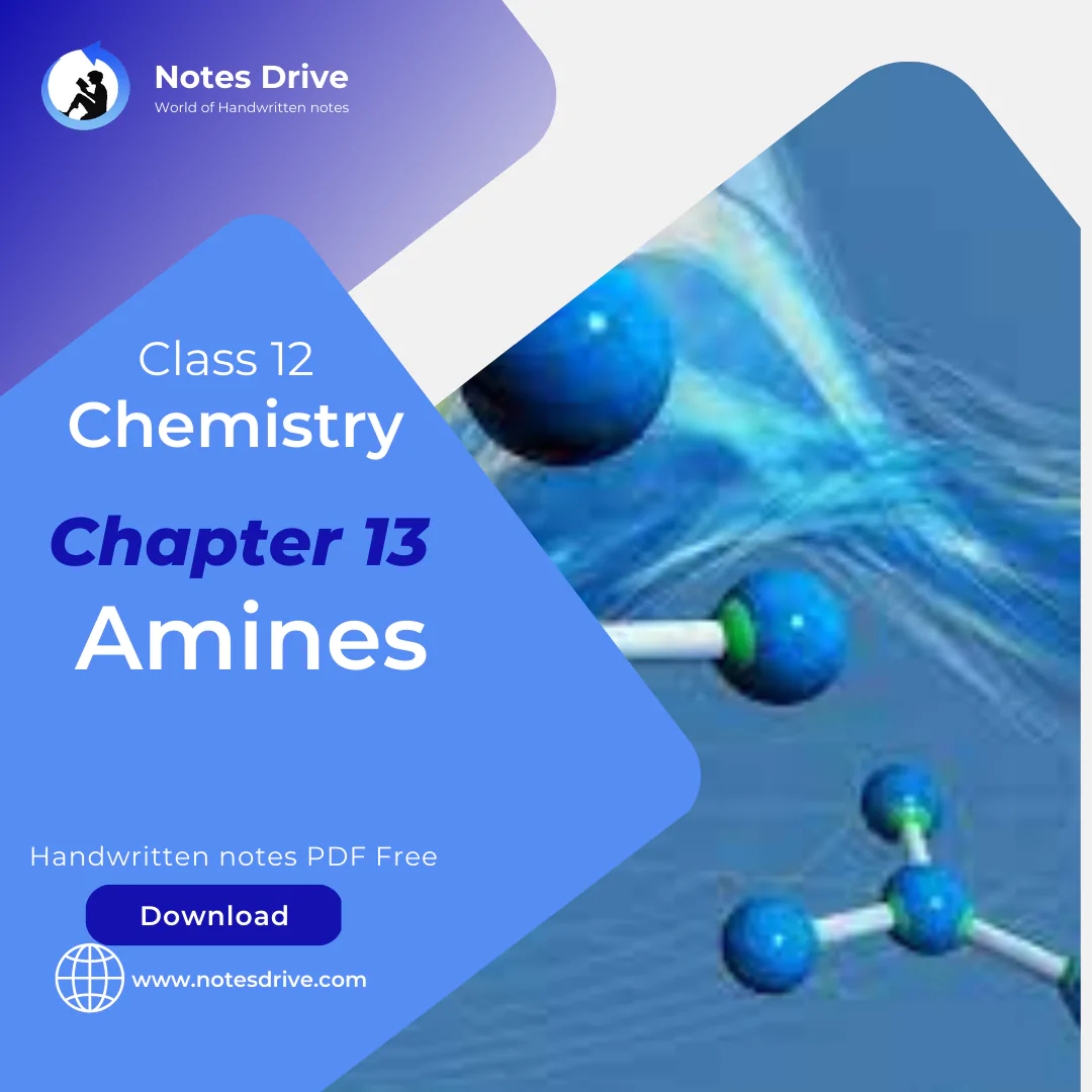Class 12 Chemistry Chapter 13 Amines handwritten notes pdf download 2023