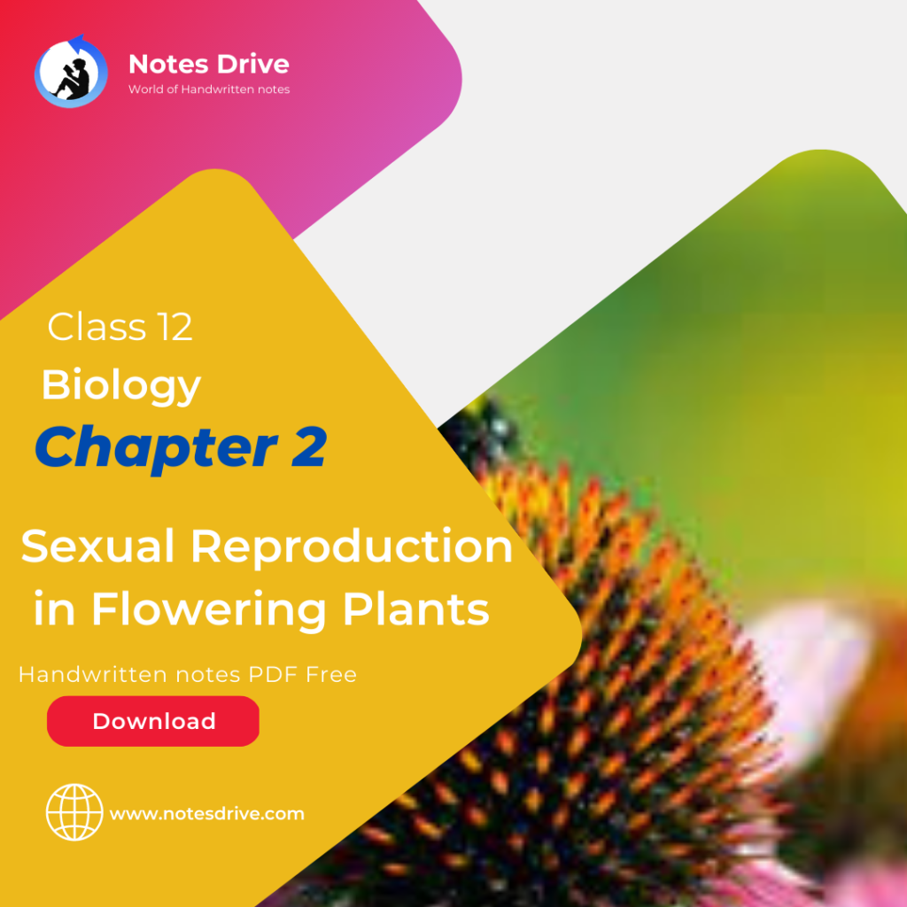 class-12-biology-chapter-2-sexual-reproduction-in-flowering-plants