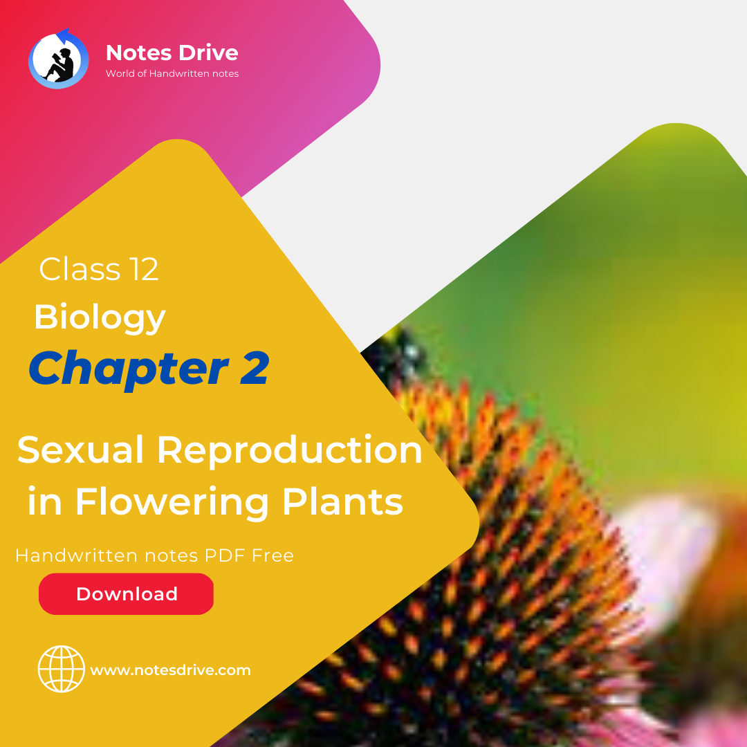 Class 12 Biology Chapter 2 Sexual Reproduction In Flowering Plants Handwritten Notes Pdf 5415