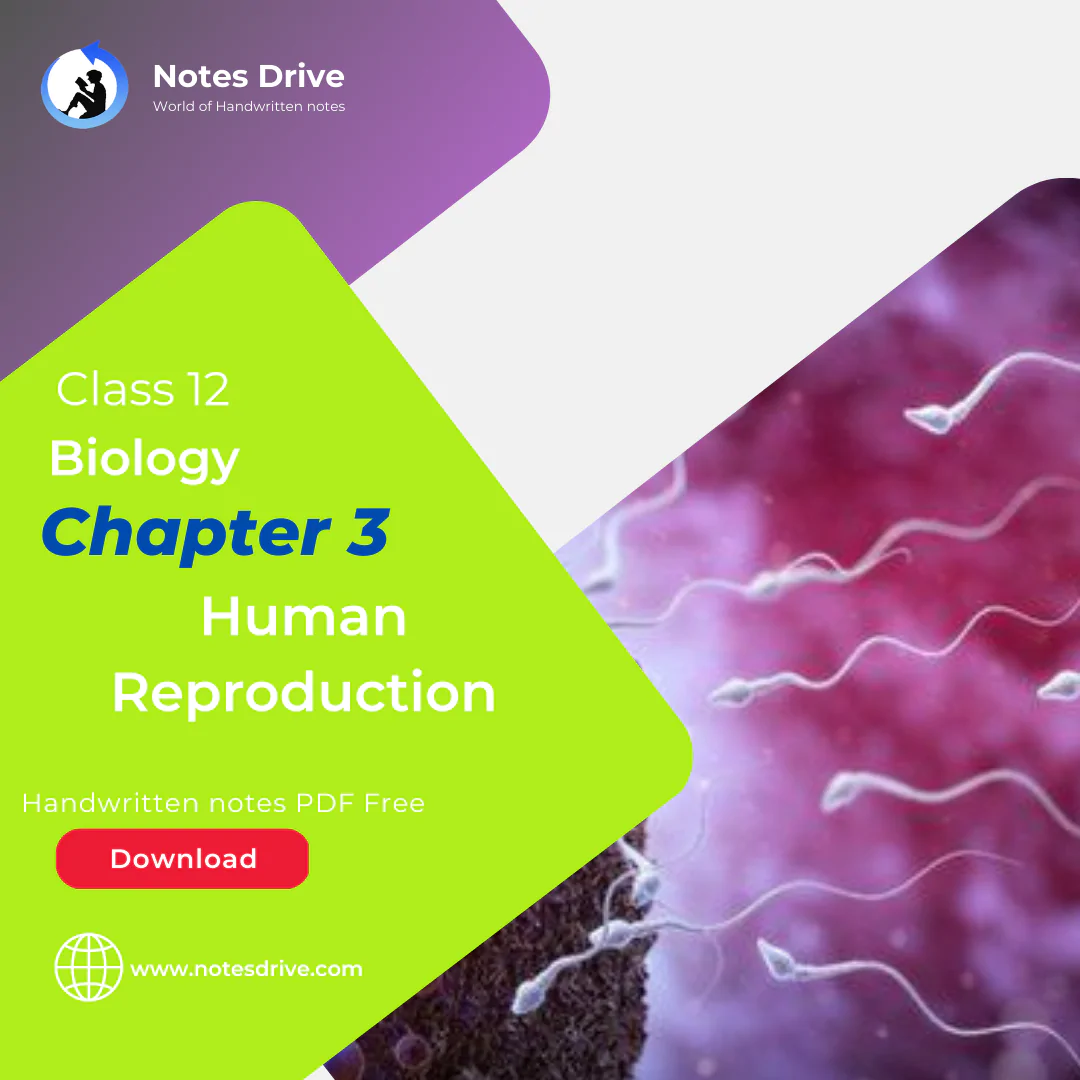 Class 12 Biology Chapter 3 Human Reproduction handwritten notes pdf download 2023