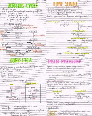 BDS 1st year ALL SUBJECTS handwritten notes of ANATOMY, PHYSIOLOGY ...