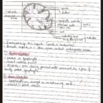 Histology