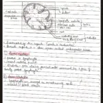 Histology