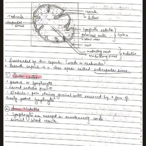 Histology