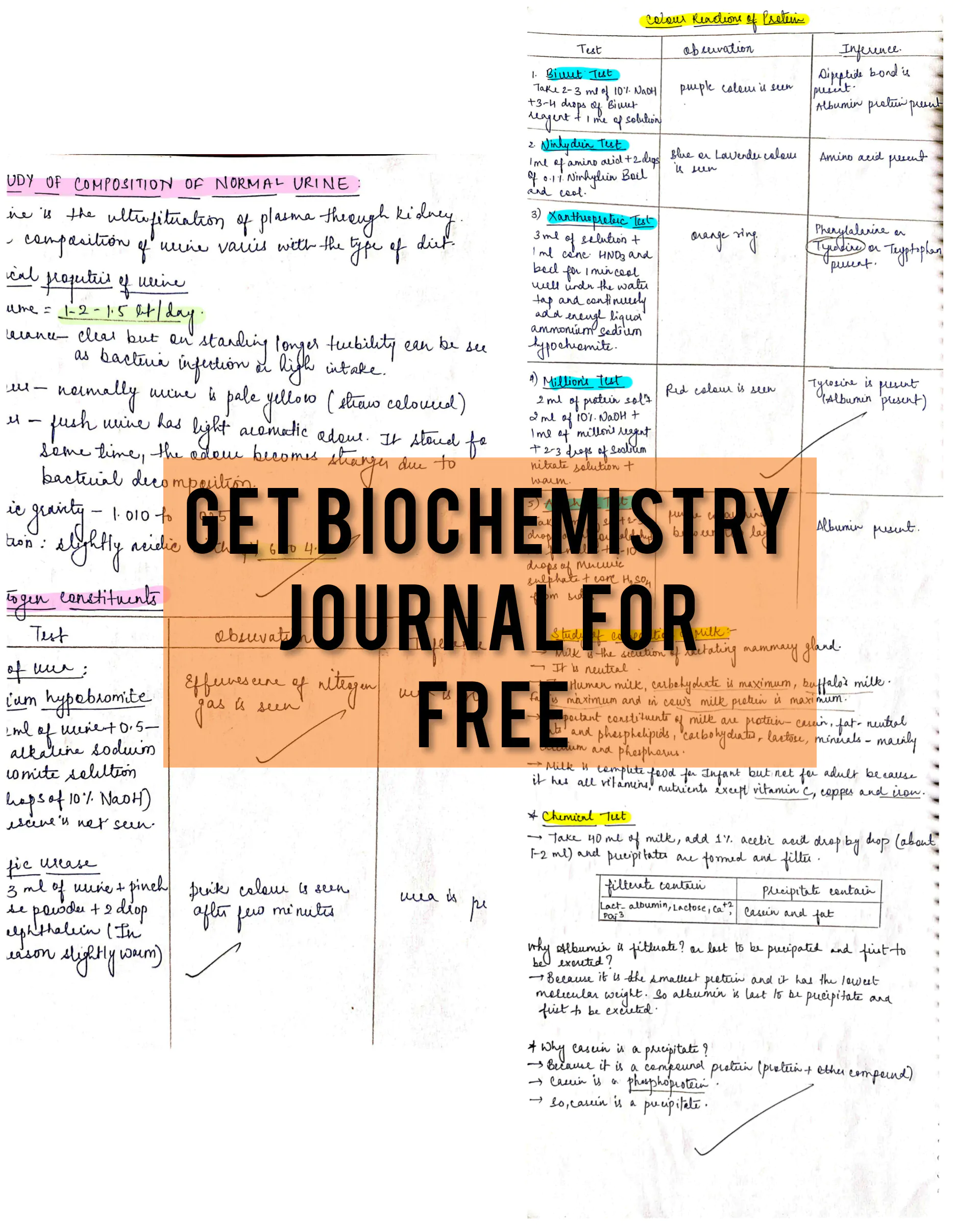 BDS 1st year ALL SUBJECTS handwritten notes of ANATOMY, PHYSIOLOGY, BIOCHEMISTRY, and DADH. Revision notes for University exams 💯 PDF - Image 2