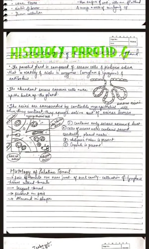 Short notes on all the Important Gujarat University exam questions of BDS and MBBS. Get the best handwritten notes with easy labelled diagrams.