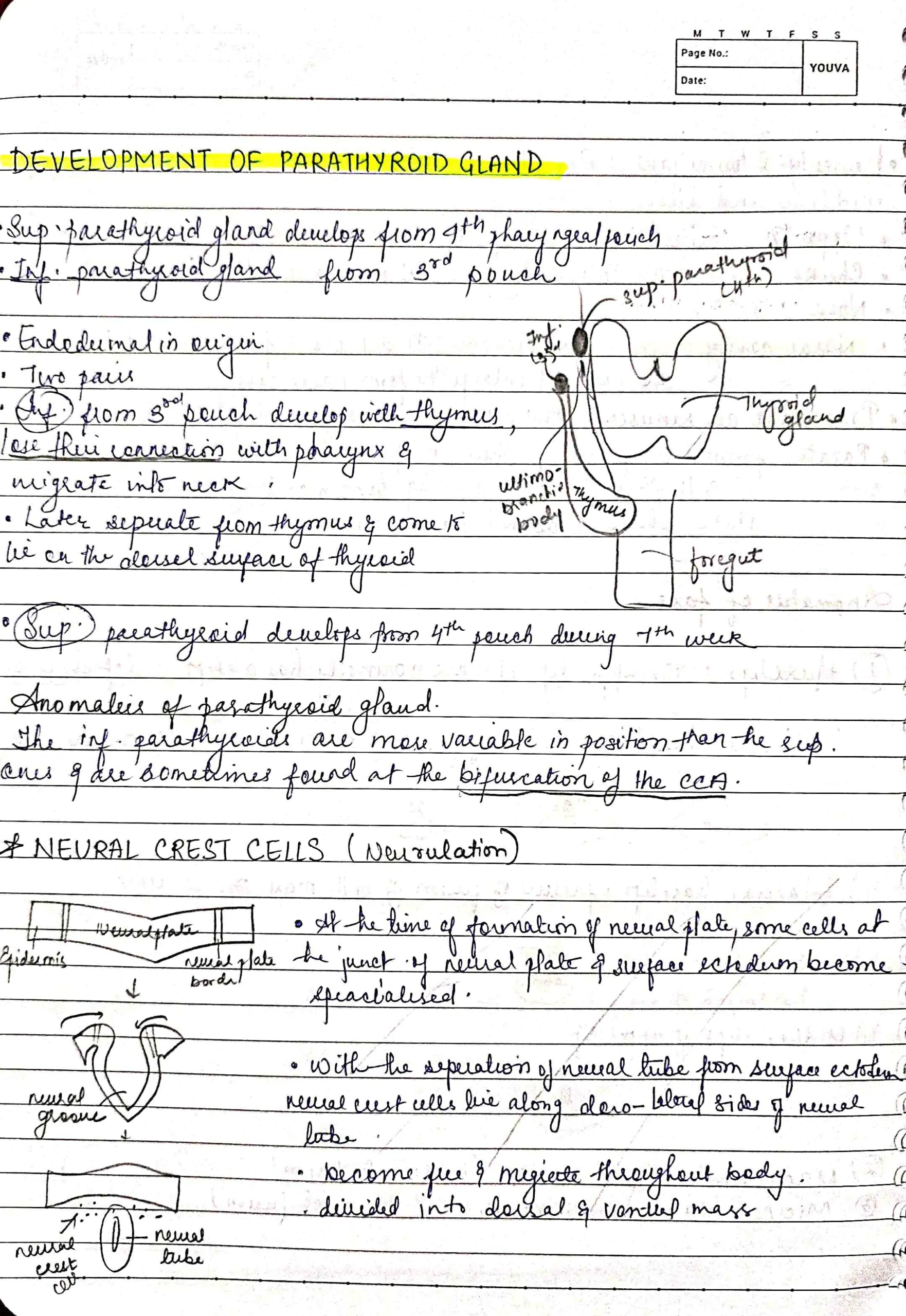 EMBRYOLOGY most important questions for University exams - Image 2