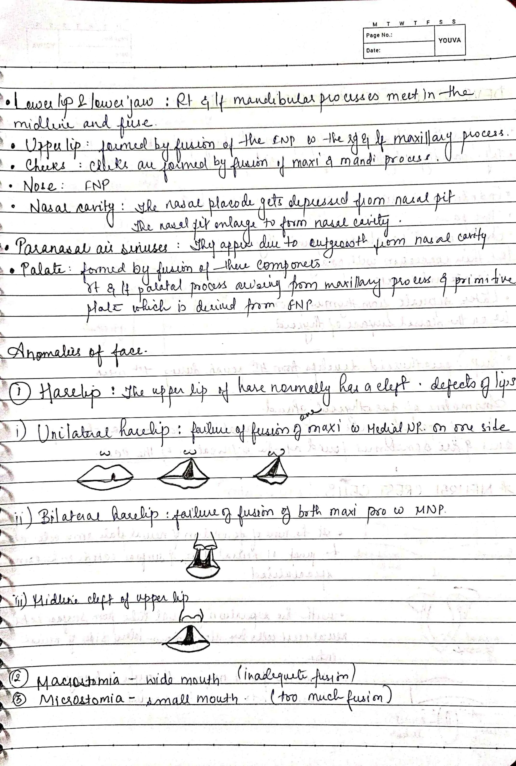 EMBRYOLOGY most important questions for University exams - Image 3