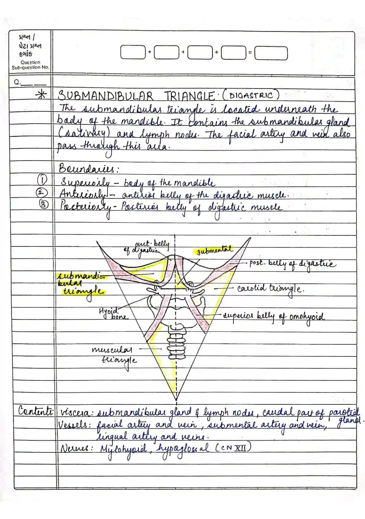 BDS 1st year ANATOMY handwritten notes of TONGUE, MUSCLES OF MASTICATION and ANTERIOR TRIANGLE OF NECK PDF