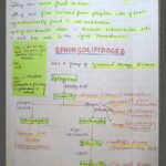 Mbbs handwritten notes