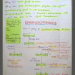 Mbbs handwritten notes