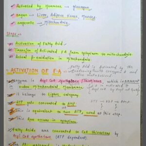 Mbbs handwritten notes