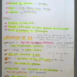 Mbbs handwritten notes