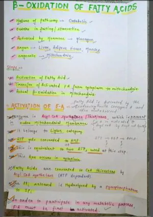 Mbbs handwritten notes