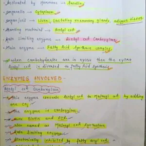 Mbbs handwritten notes