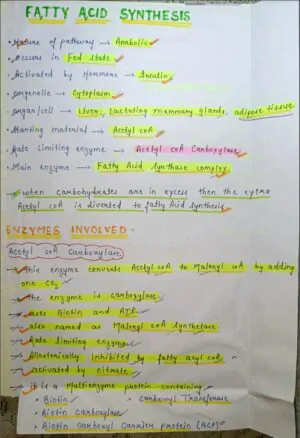 Mbbs handwritten notes