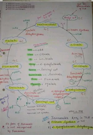 Mbbs handwritten notes