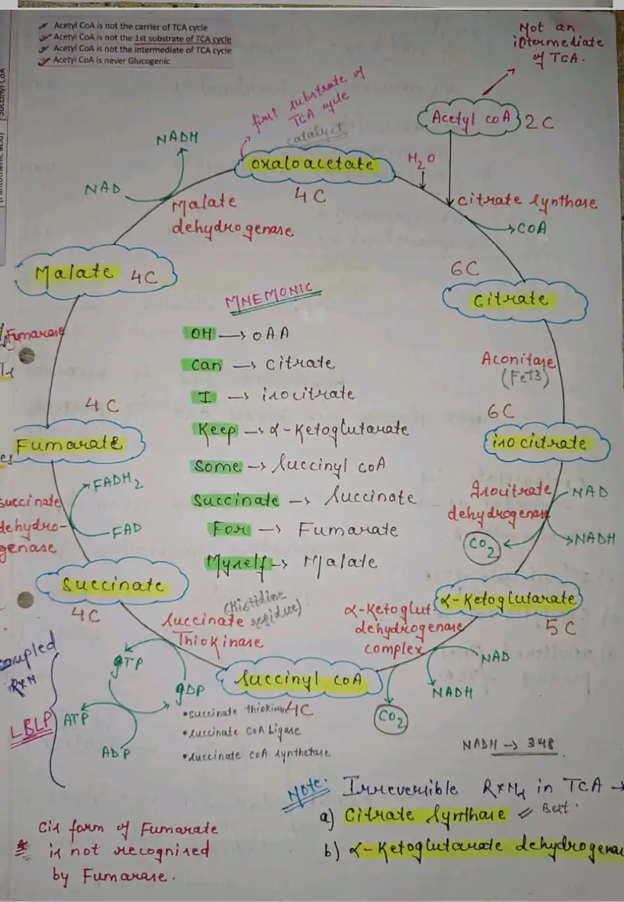 Mbbs handwritten notes