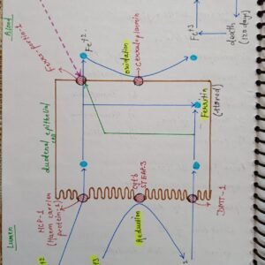 Mbbs handwritten notes