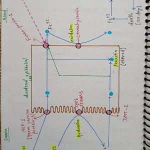 Mbbs handwritten notes