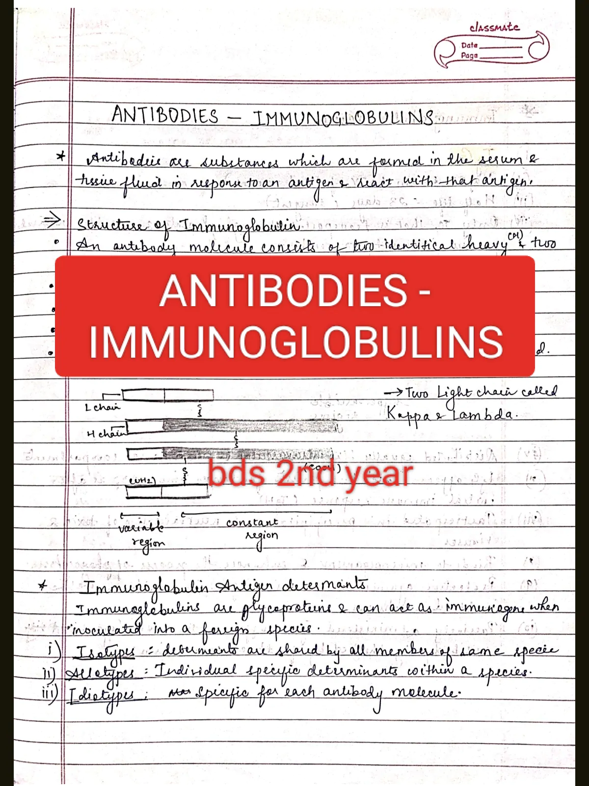 ANTIBODIES - immunoglobulins (Microbiology) BDS 2nd year handwritten notes for University exams PDF