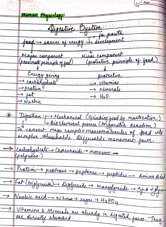 Digestive system handwritten notes for NEET