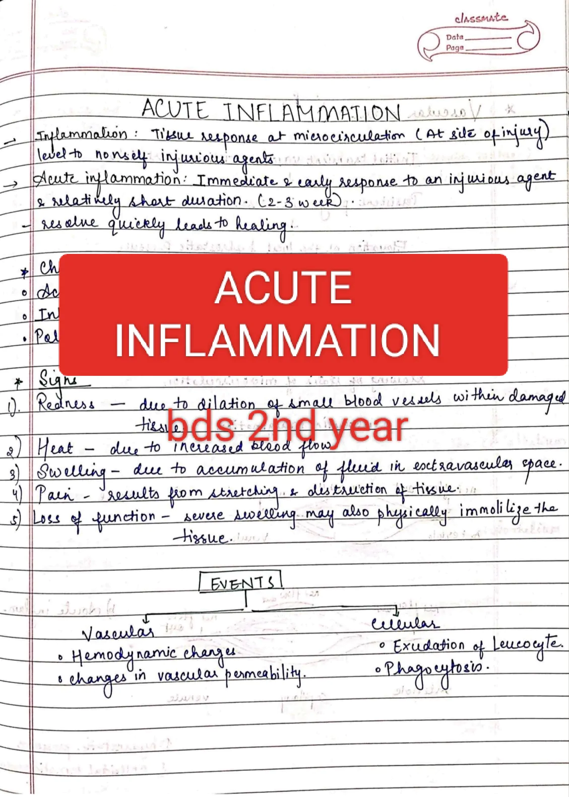 Acute inflammation PATHOLOGY BDS 2nd year handwritten notes for University exams PDF