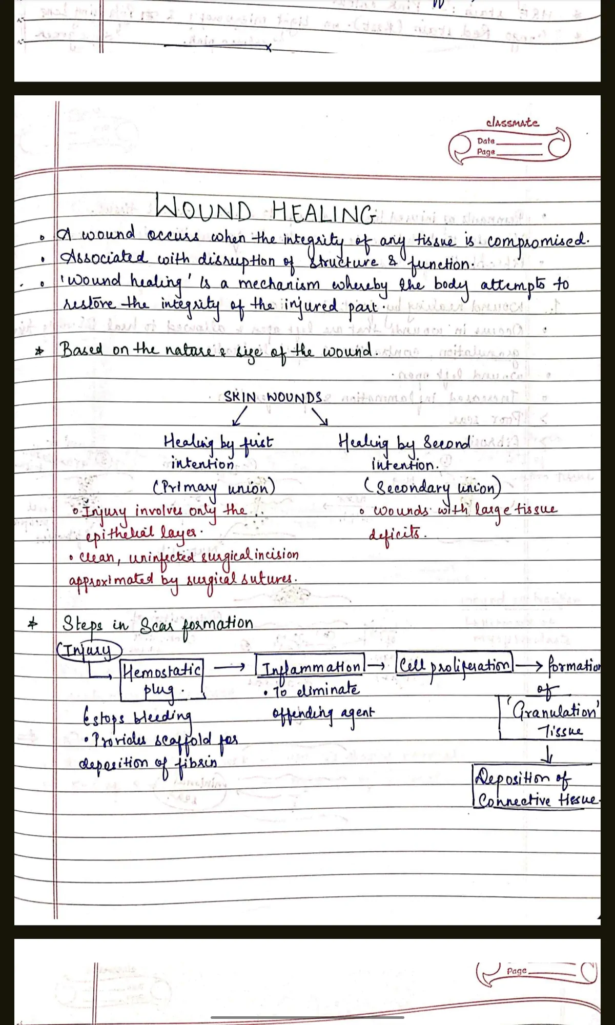 PATHOLOGY COMPLETE handwritten notes for BDS 2nd year University exams PDF - Image 2