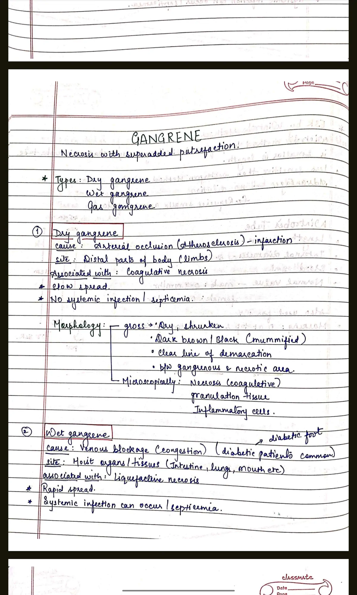 PATHOLOGY COMPLETE handwritten notes for BDS 2nd year University exams PDF - Image 4