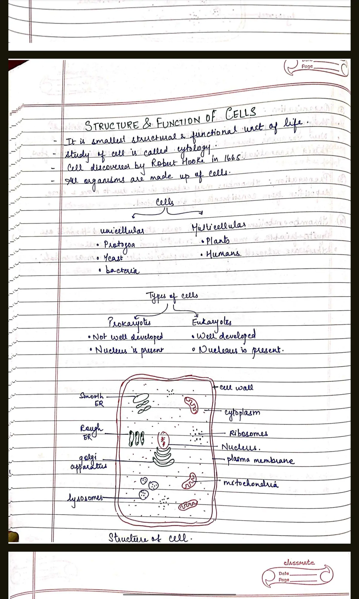 PATHOLOGY COMPLETE handwritten notes for BDS 2nd year University exams PDF - Image 7