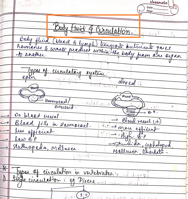 Body Fluid and Circulation Handwritten Notes For NEET