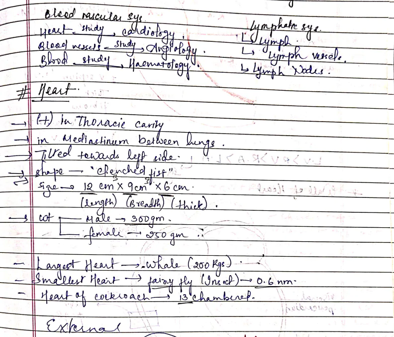 Body Fluid and Circulation Handwritten Notes For NEET - Image 2