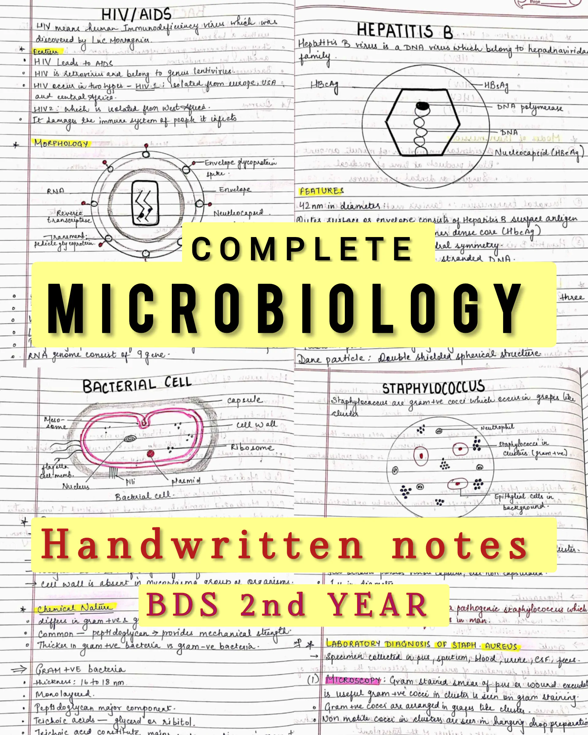 BDS 2nd year ALL SUBJECTS handwritten notes of PATHOLOGY, MICROBIOLOGY, DENTAL MATERIALS and PHARMACOLOGY. Revision notes for University exams 💯 PDF - Image 2