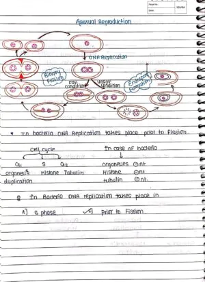 BIOLOGICAL CLASSIFICATION CLASS 11TH HANDWRITTEN NOTES BIOLOGY NEET