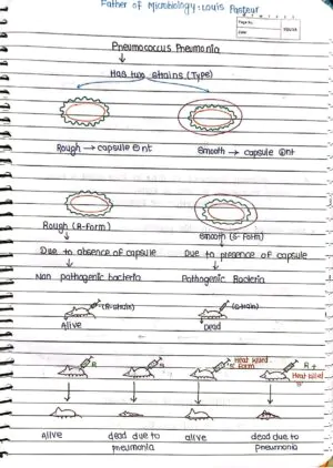 BIOLOGICAL CLASSIFICATION CLASS 11TH HANDWRITTEN NOTES BIOLOGY NEET