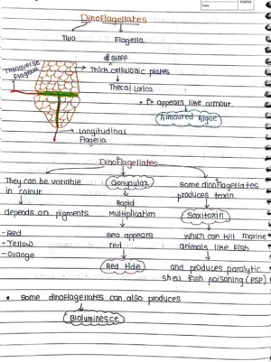 BIOLOGICAL CLASSIFICATION CLASS 11TH HANDWRITTEN NOTES BIOLOGY NEET