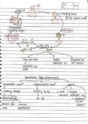 BIOLOGICAL CLASSIFICATION CLASS 11TH HANDWRITTEN NOTES BIOLOGY NEET