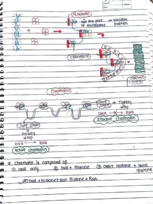 Cell- The Unit of Life - Handwritten Notes_1